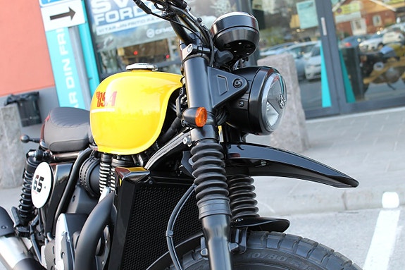 BSA 650 SCRAMBLER | VICTOR YELLOW 5 of 15