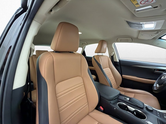Lexus NX300h 28 of 30