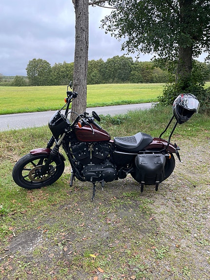 Harley-Davidson Sporster Iron XL 1200NS 3 of 3