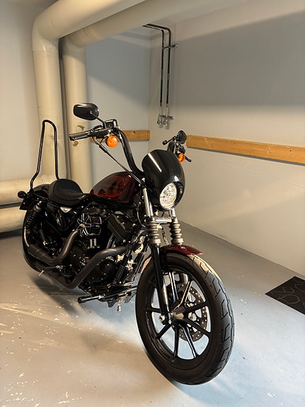 Harley-Davidson Sporster Iron XL 1200NS 2 of 3