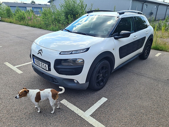 Citroen C4 Cactus 3 of 4