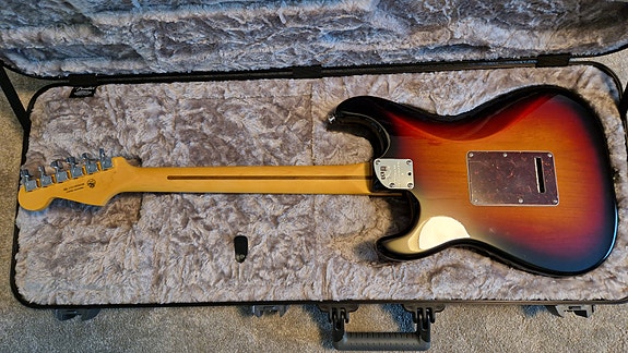 Fender Stratocaster Professional 2