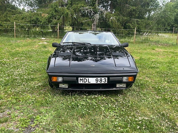 Lotus 2 of 10