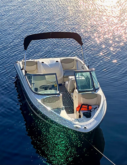 Fin Bayliner 175 BR 2 of 5