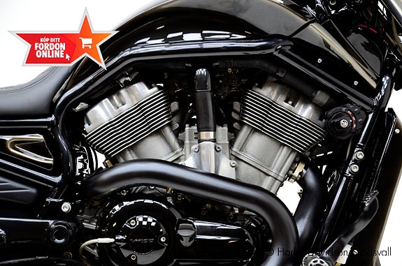 Harley-Davidson Muscle Custom 300 kit *Hemleverans* 6 of 11