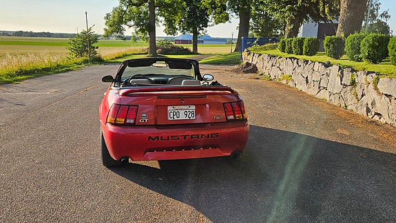 Ford Mustang 3 of 5