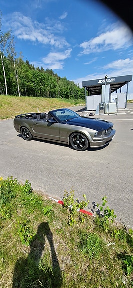 Ford Mustang 5 of 5