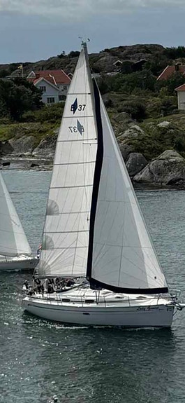 Bavaria 37 Cruiser 4 of 5