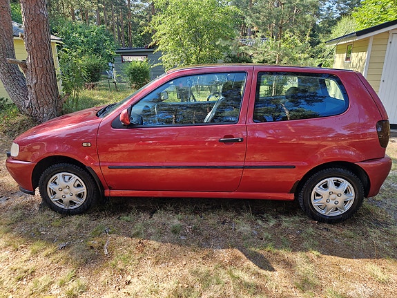 Volkswagen Polo 5 of 12