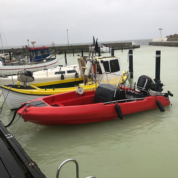 Pioner 17 med Evinrude 75 E-tec och trailer 2 of 3