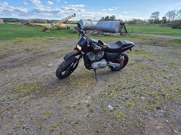 Harley-Davidson XR1200 2 of 3