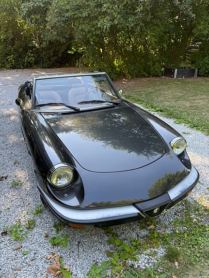 Alfa Romeo Spider 5 of 7
