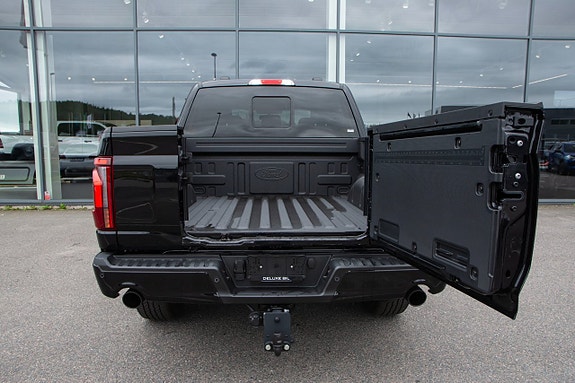 Ford F-150 23 of 25