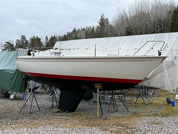 Albin 78 (nyare motor 2015) 4 of 5