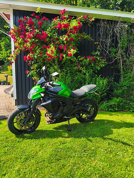 Kawasaki Ninja ER-6n 5 of 5
