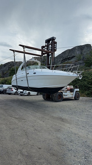 Sea ray 315 bogpropp 7 of 7