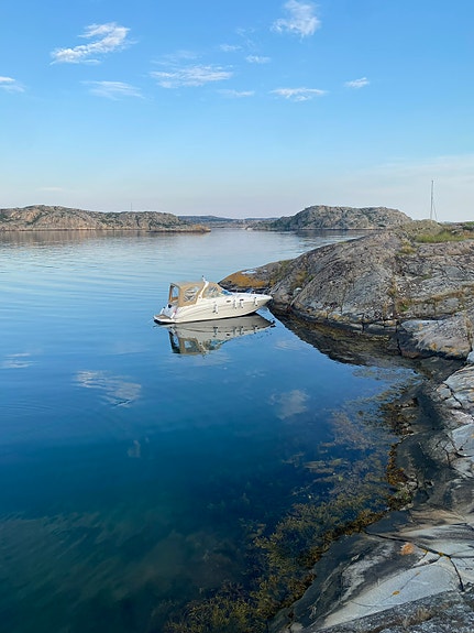 Sea ray 315 bogpropp 2 of 7