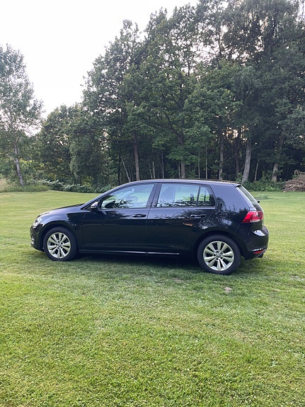 Volkswagen Golf VII 2 of 5