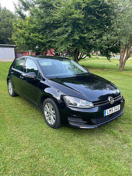 Volkswagen Golf VII 5 of 5
