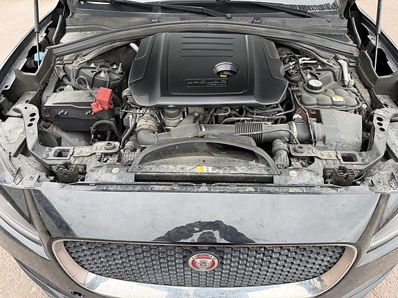 Jaguar F-PACE 12 of 14
