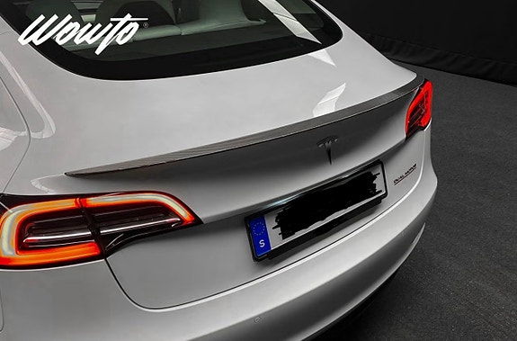 Tesla Model 3 18 of 19