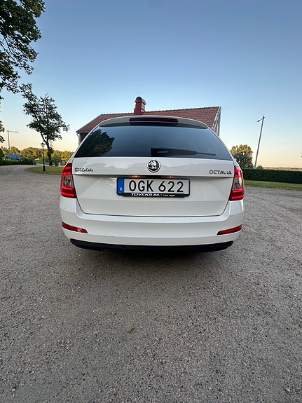 Skoda Octavia 7 of 12