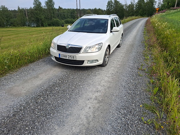 Skoda Octavia 3 of 4