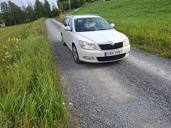 Skoda Octavia 4 of 4