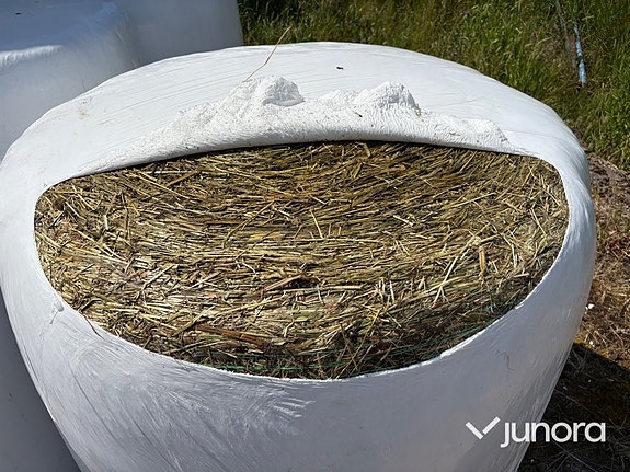 125 st ensilagebalar – 8 lager plast – Nyskördade 7 of 7