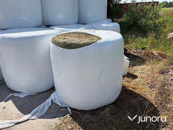 125 st ensilagebalar – 8 lager plast – Nyskördade 5 of 7