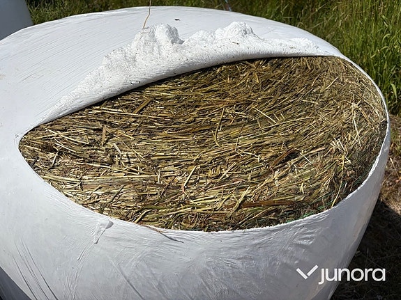 125 st ensilagebalar – 8 lager plast – Nyskördade 6 of 7