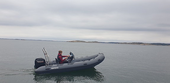 Brig Falcon 500 års mod 2021 60 hk 3 of 3