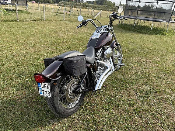 Harley-Davidson Softtail Softail Standard 1.4 Twin Cam 88B Manuell UTSTÄLLNINGSSKICK!!!! 7 of 15