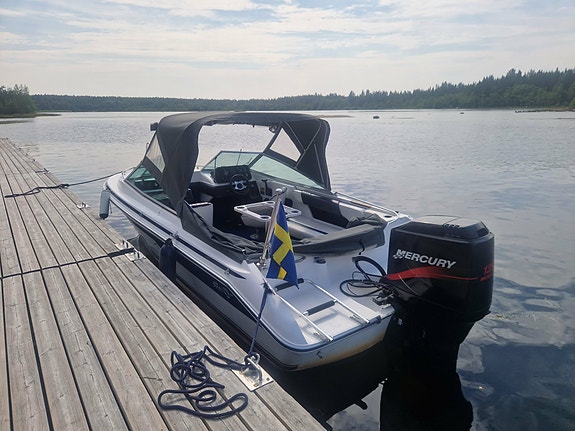 Utflyktsbåt Sea Ray 3 of 4