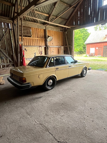 Volvo 244 2 of 5