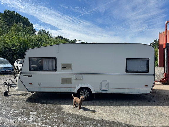 Polar 550 GLS Jubileum 2 of 11