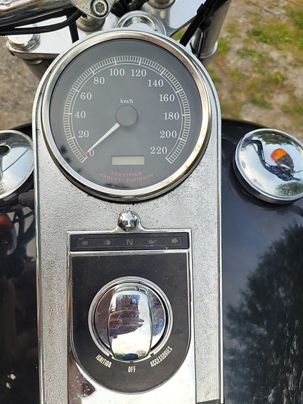 Harley-Davidson Softail Standard FXST 6 of 8