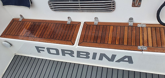 Omhändertagen Forbina 8000 med den rätta motorn 15 of 25