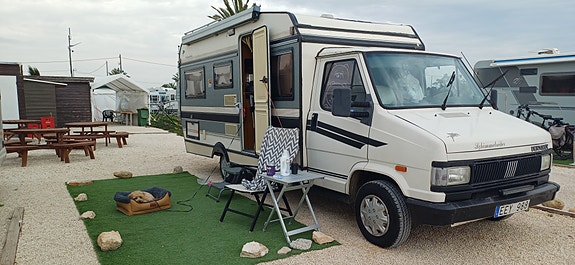 Peugeot Hobby 6 of 16