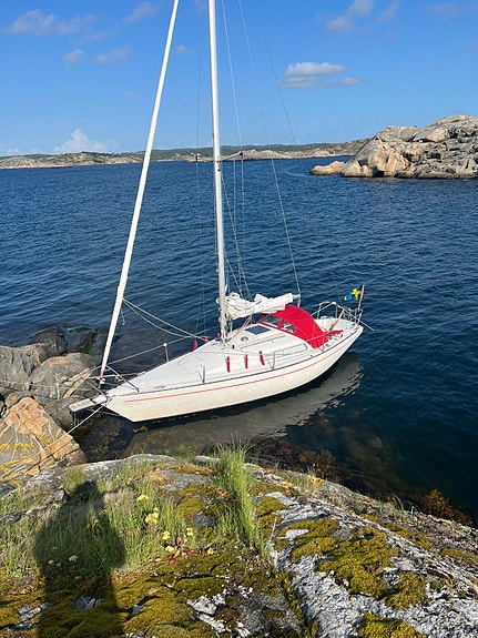 Charmig Albin-79 3 of 5