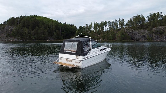 Sea ray 268 mercruiser 383 2018 unik 2 of 6