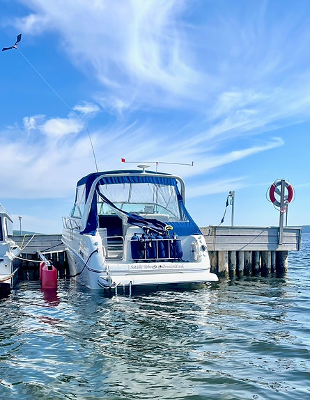 Mycket fin Crownline 290CR – 2002 inkl båtvagn 2 of 13