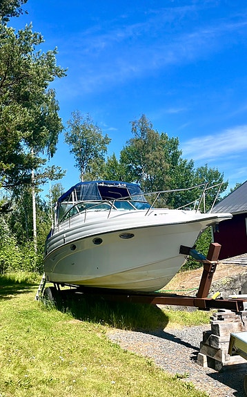 Mycket fin Crownline 290CR – 2002 inkl båtvagn 3 of 13