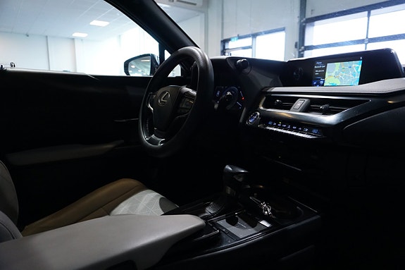 Lexus UX250h 15 of 16