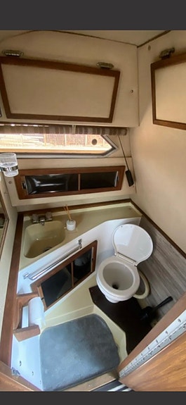 Sea-ray 268 med trailer, även bytes 6 of 7