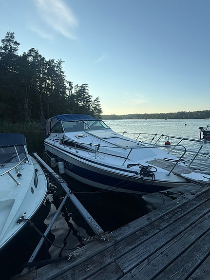 Sea-ray 268 med trailer, även bytes 2 of 7