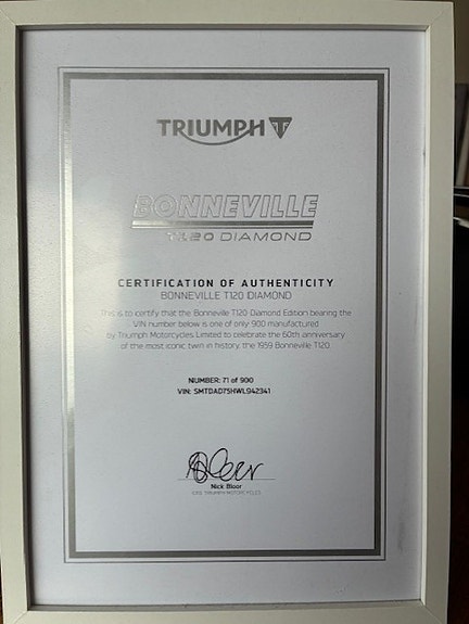 Triumph BONNEVILLE T120 DIAMOND 9 of 9