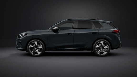 Cupra Terramar 11 of 15