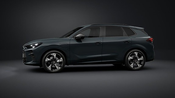 Cupra Terramar 12 of 15