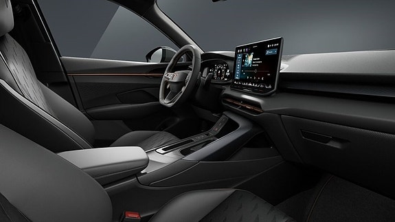 Cupra Terramar 13 of 15